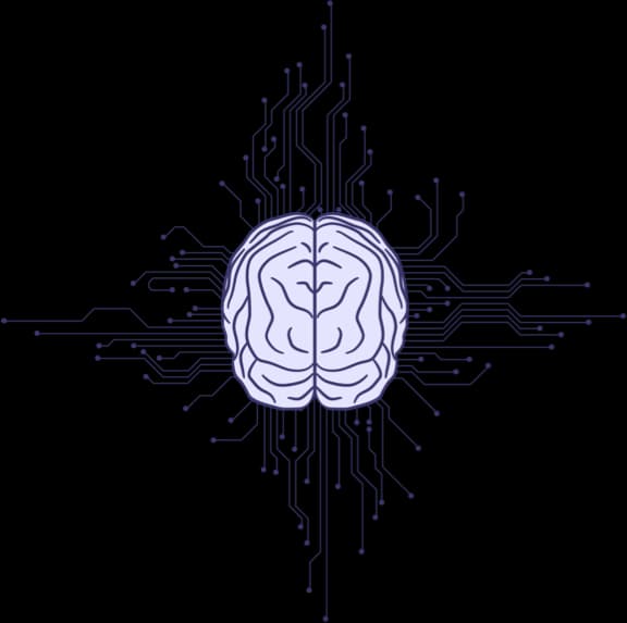 decision making brain